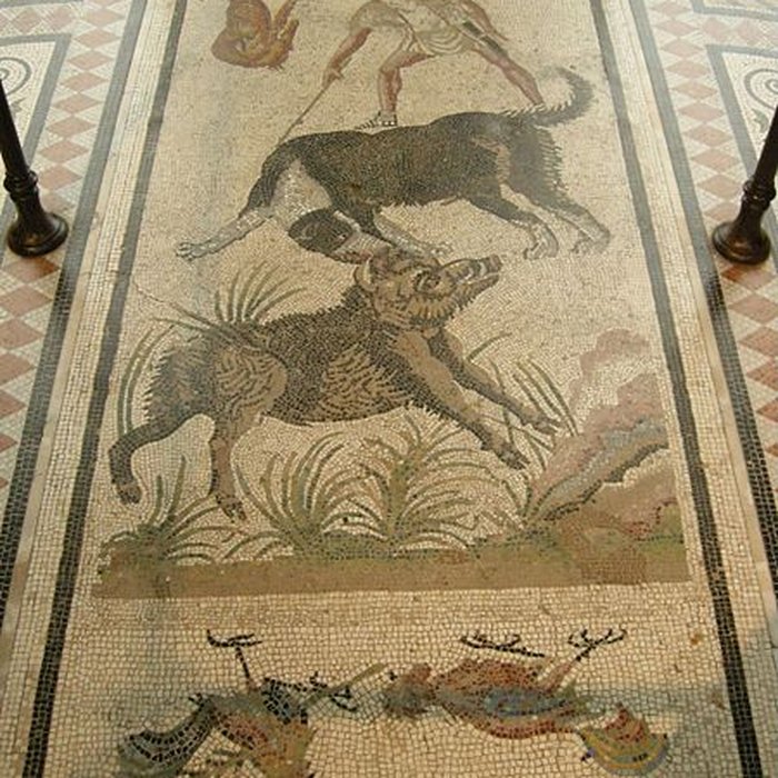 Photo de Musée Condé à Chantilly