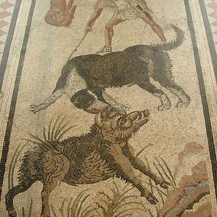 Photo de Musée Condé à Chantilly