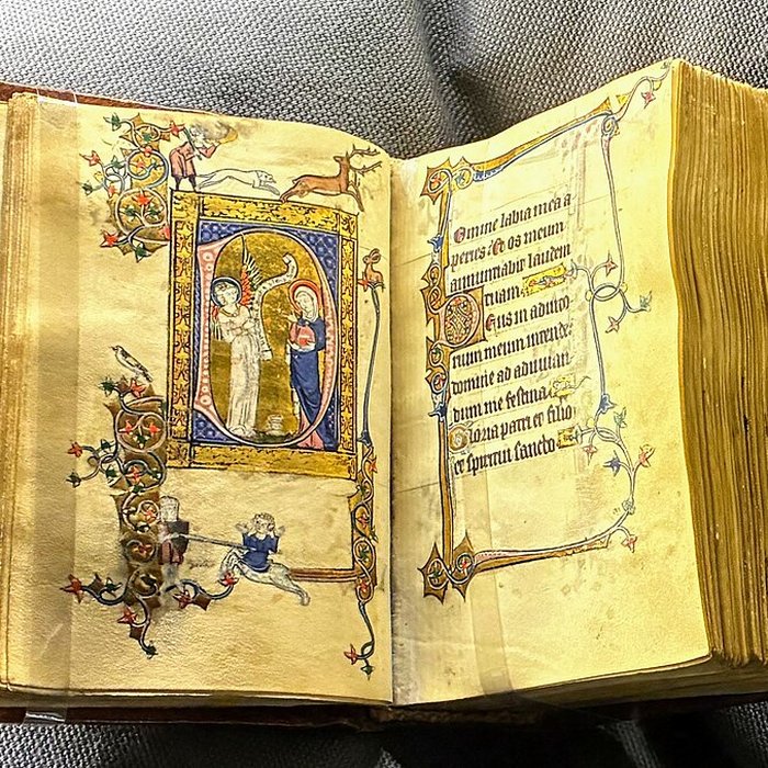 Photo de Musée Condé à Chantilly