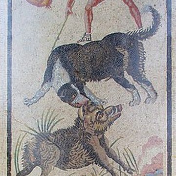 Musée Condé à Chantilly