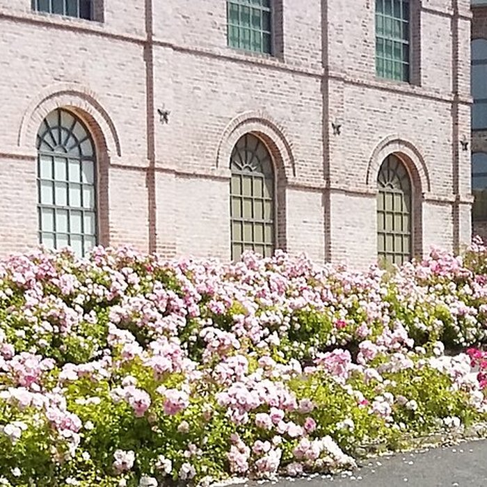 Photo de Musée de la Nacre et de la Tabletterie à Méru