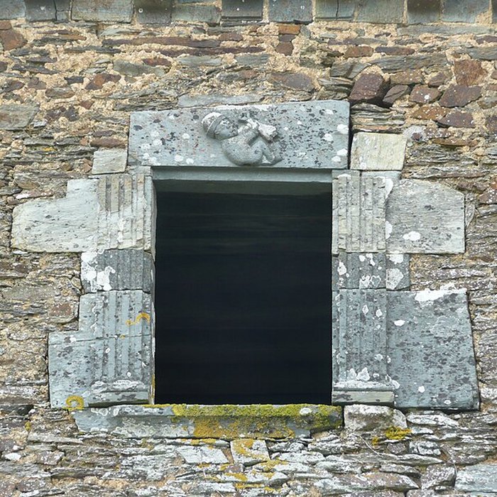 Photo de Château de Senonnes