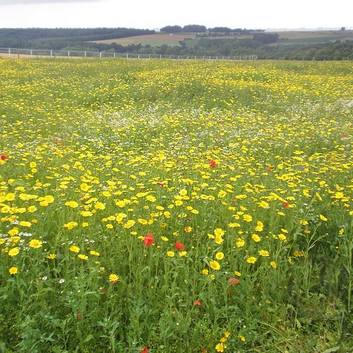 Photo de Musée-Mémorial de Thiepval