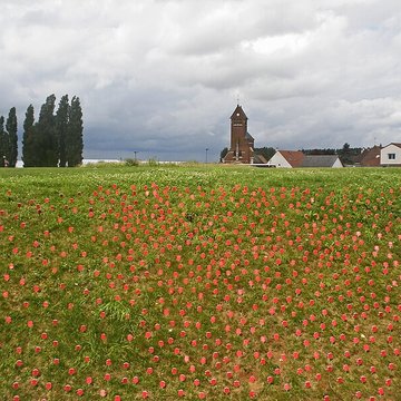 Musée-Mémorial de Thiepval