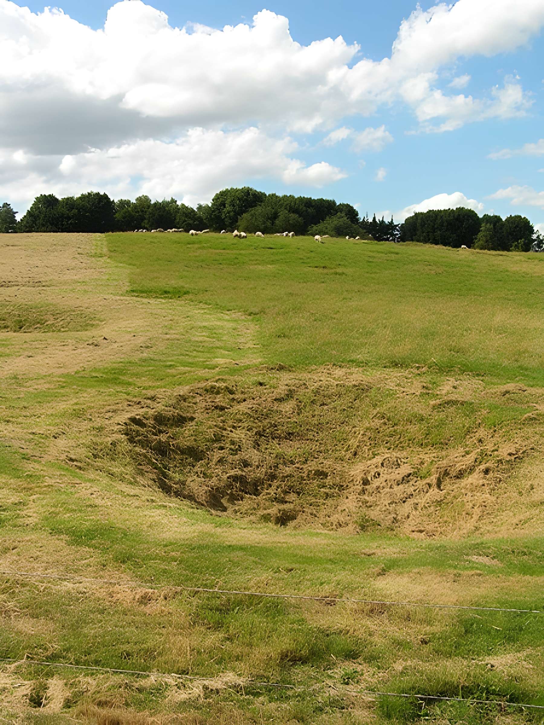 Mémorial terre-neuvien et parc commémoratif