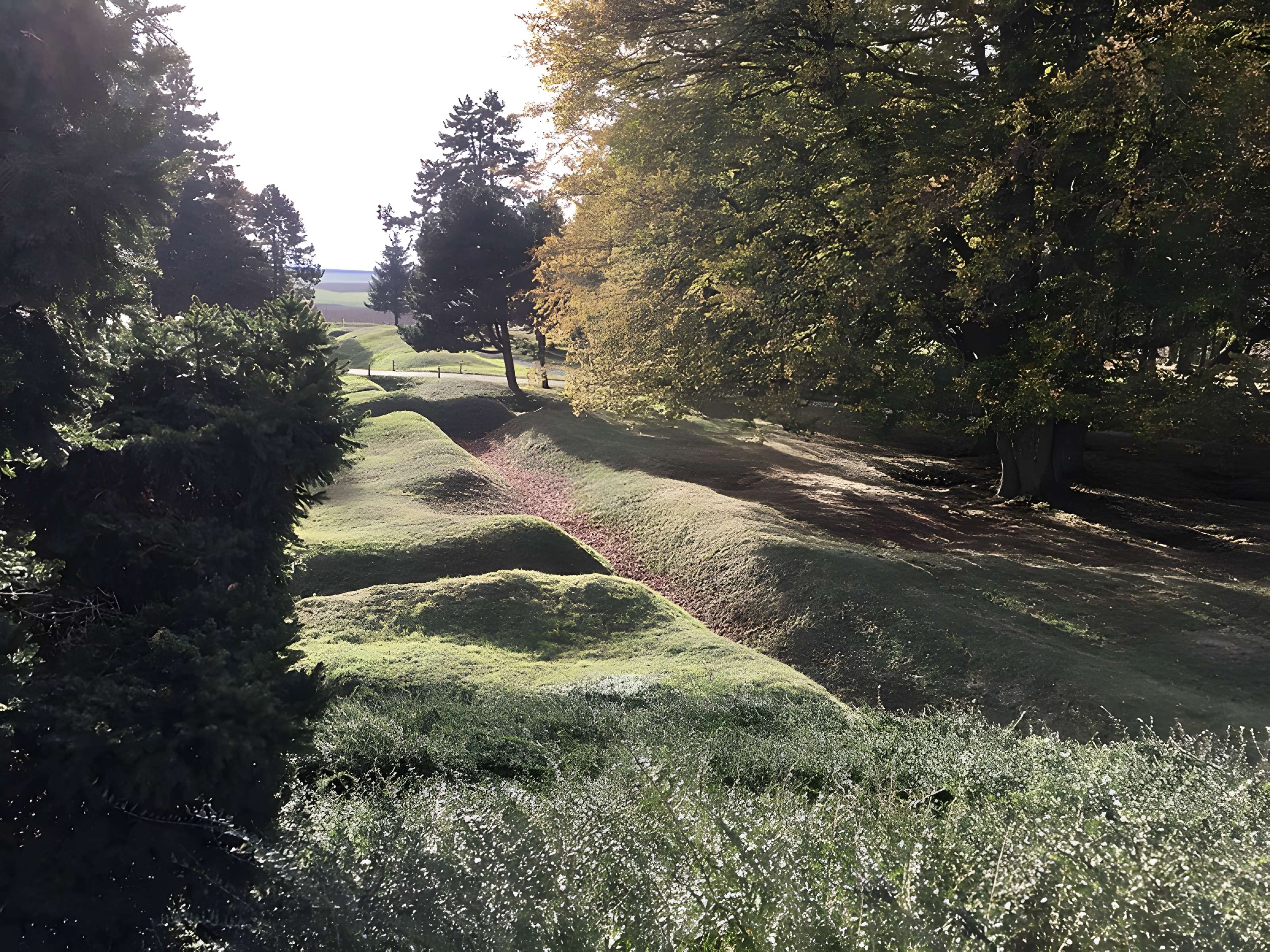 Mémorial terre-neuvien et parc commémoratif