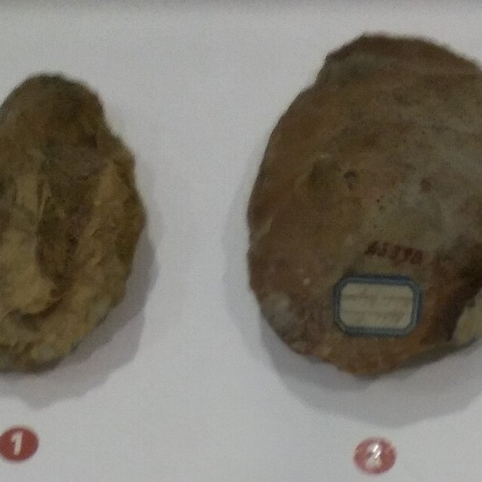 Photo de Le Beffroi - musée Boucher de Perthes - Manessier