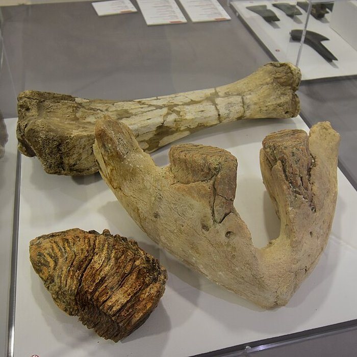 Photo de Le Beffroi - musée Boucher de Perthes - Manessier