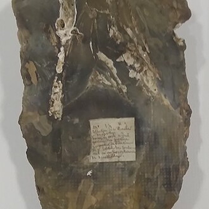 Photo de Le Beffroi - musée Boucher de Perthes - Manessier