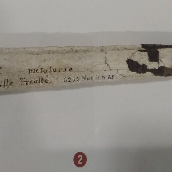 Photo de Le Beffroi - musée Boucher de Perthes - Manessier