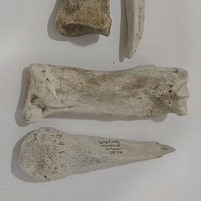 Photo de Le Beffroi - musée Boucher de Perthes - Manessier