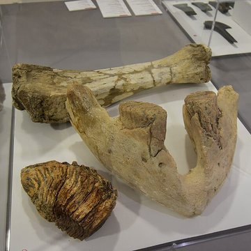 Le Beffroi - musée Boucher de Perthes - Manessier