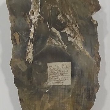 Le Beffroi - musée Boucher de Perthes - Manessier