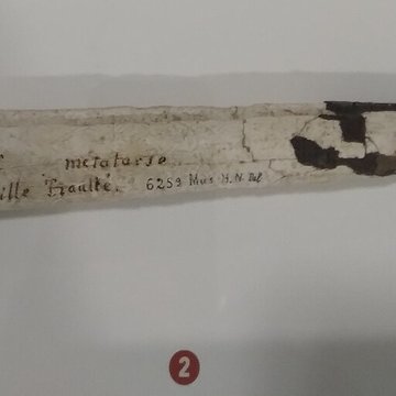 Le Beffroi - musée Boucher de Perthes - Manessier