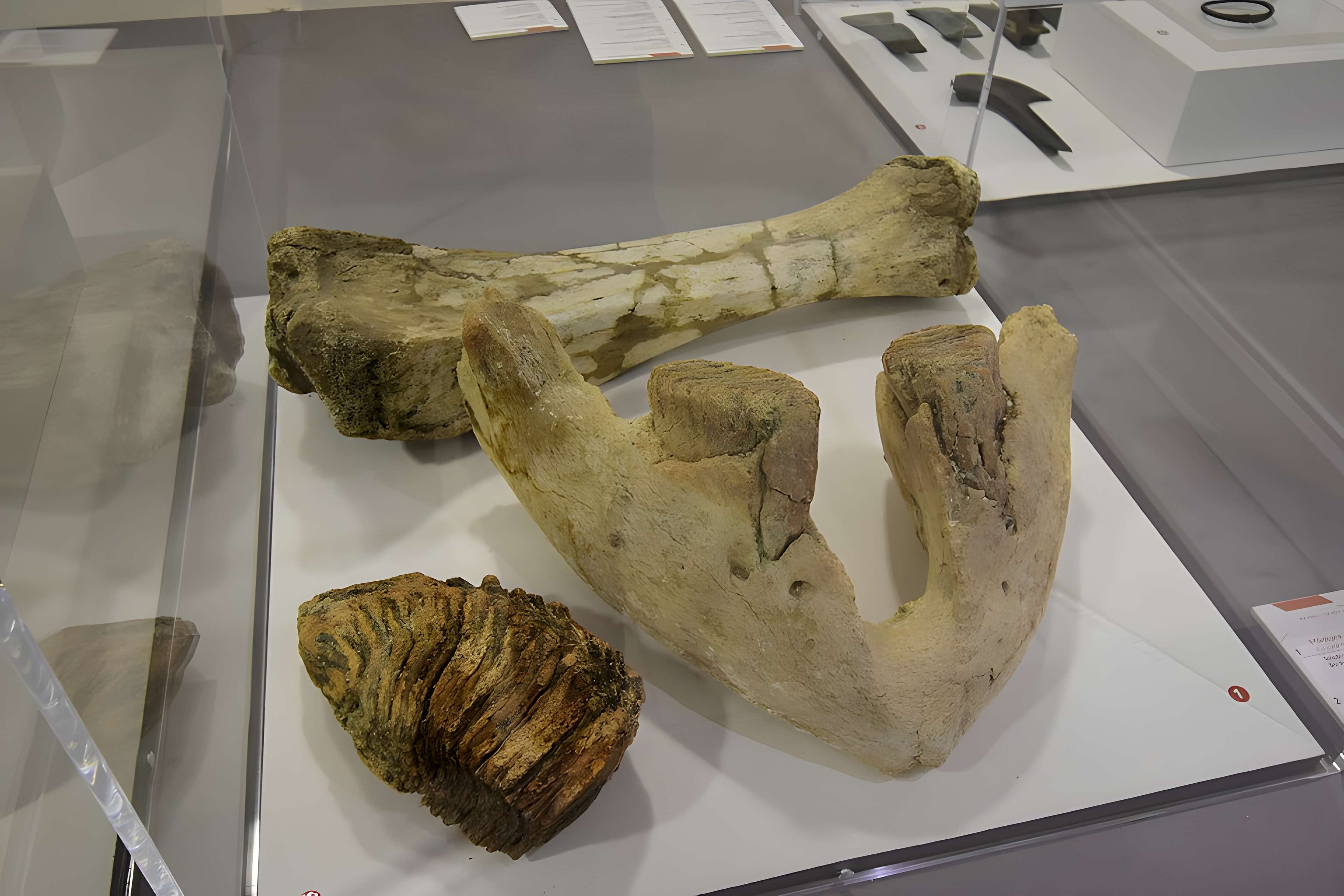 Le Beffroi - musée Boucher de Perthes - Manessier