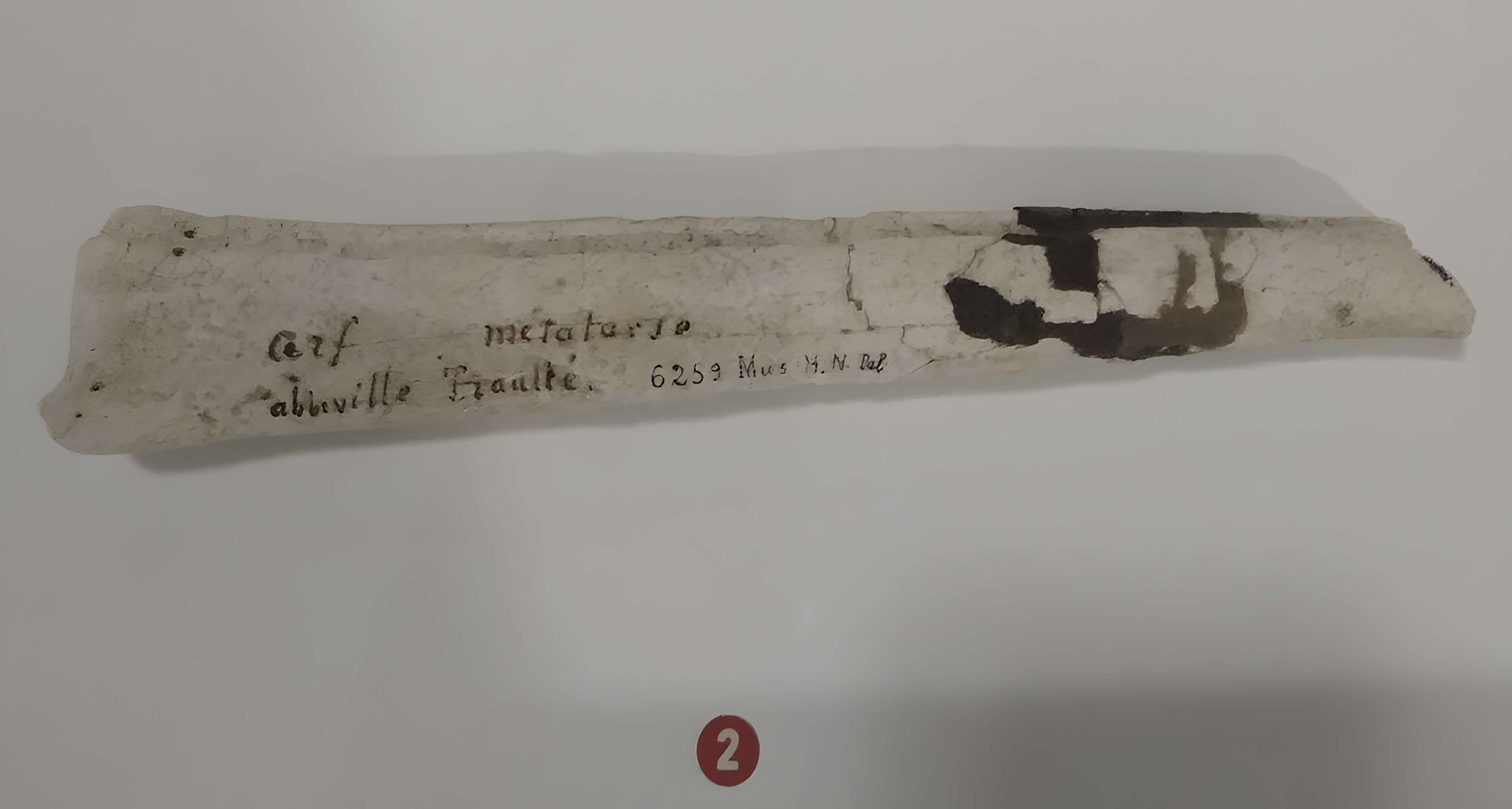 Le Beffroi - musée Boucher de Perthes - Manessier