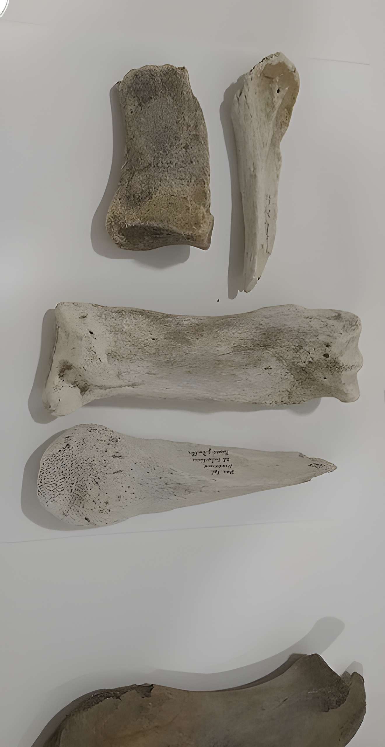 Le Beffroi - musée Boucher de Perthes - Manessier