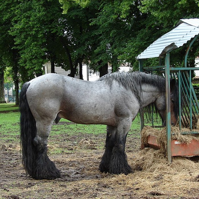 Photo de Haras national de Saintes
