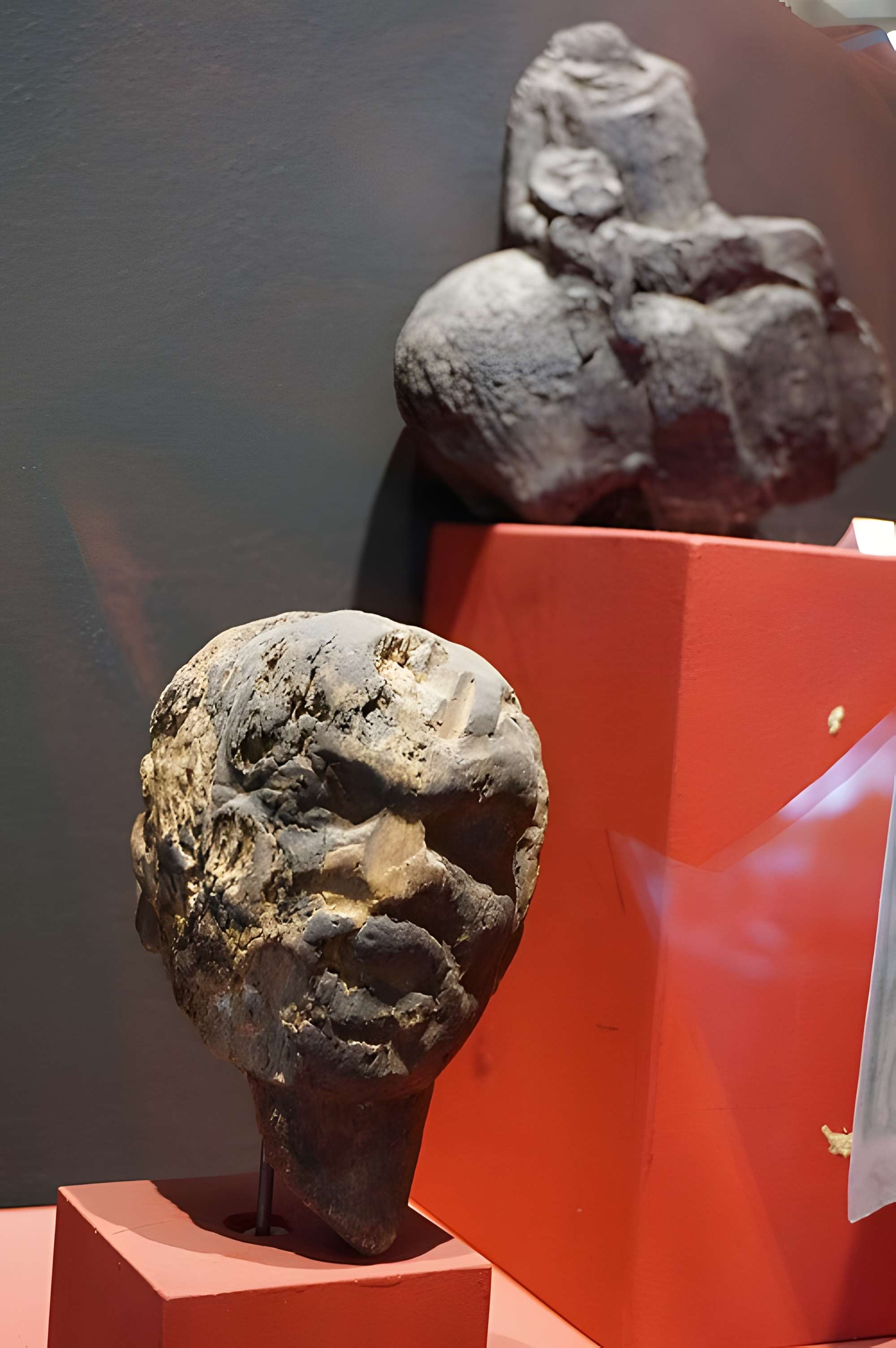 Musée archéologique de Saintes