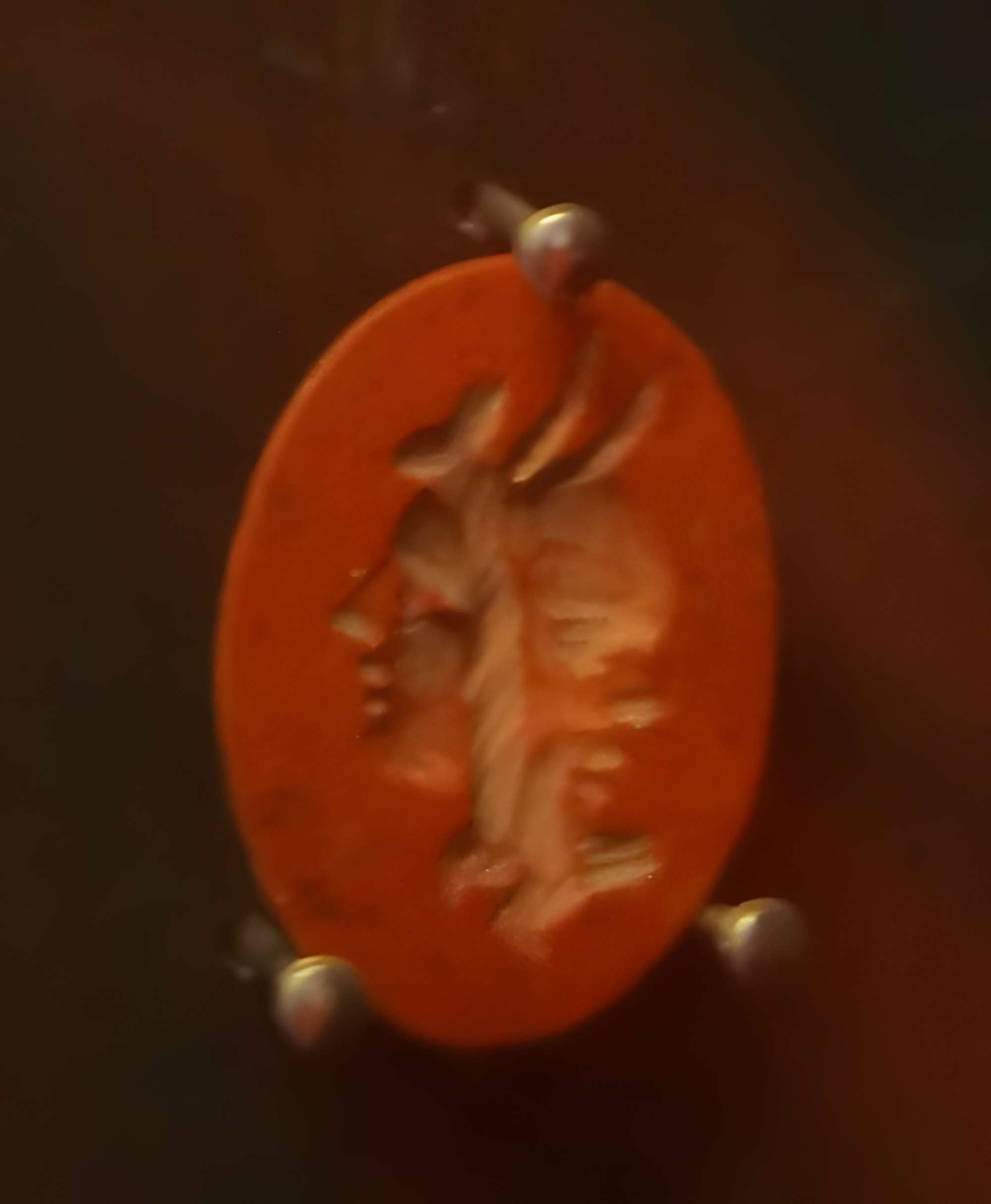 Musée archéologique de Saintes