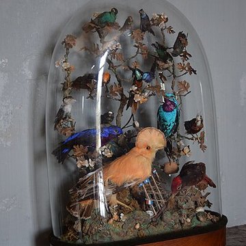 Musée Dupuy-Mestreau de Saintes