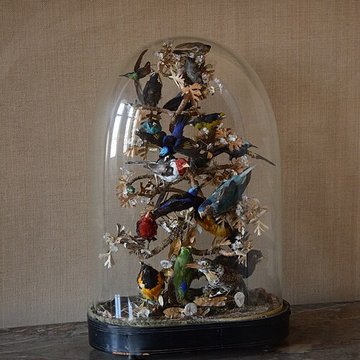 Musée Dupuy-Mestreau de Saintes