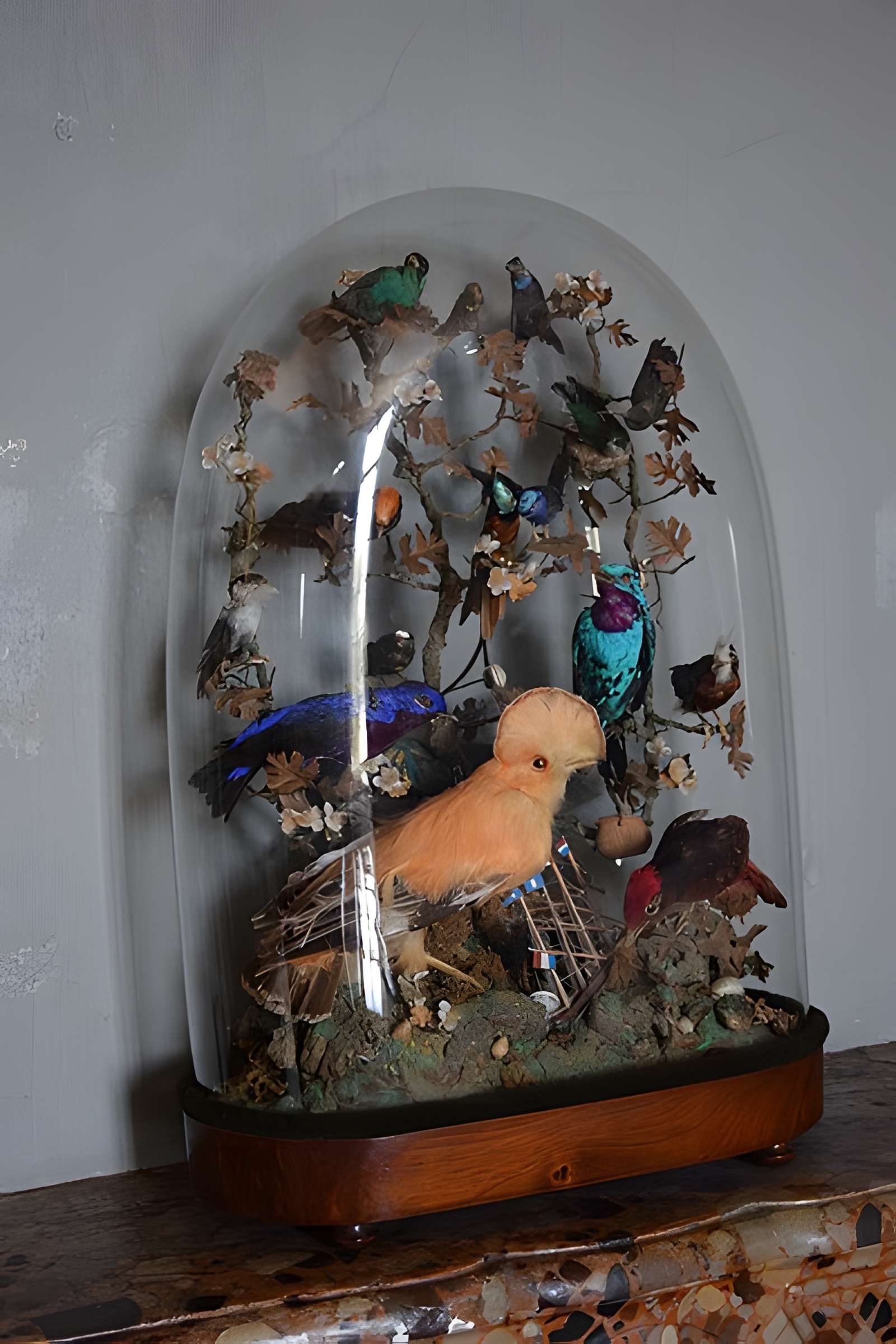 Musée Dupuy-Mestreau de Saintes