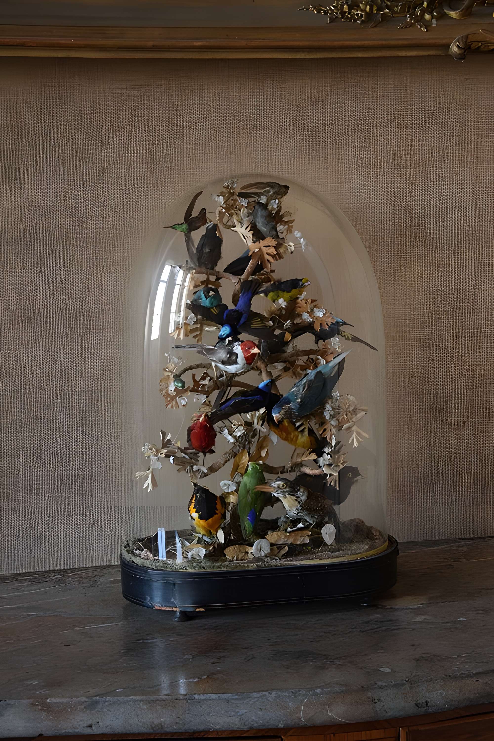 Musée Dupuy-Mestreau de Saintes