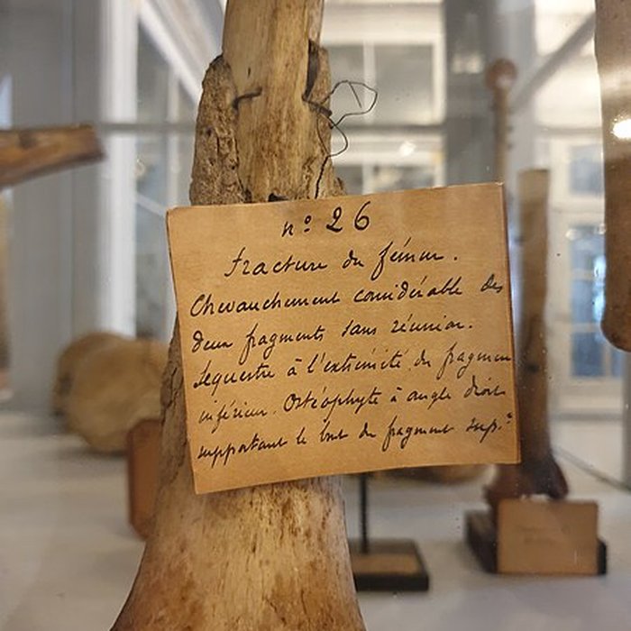 Photo de Musée national de la Marine de Rochefort