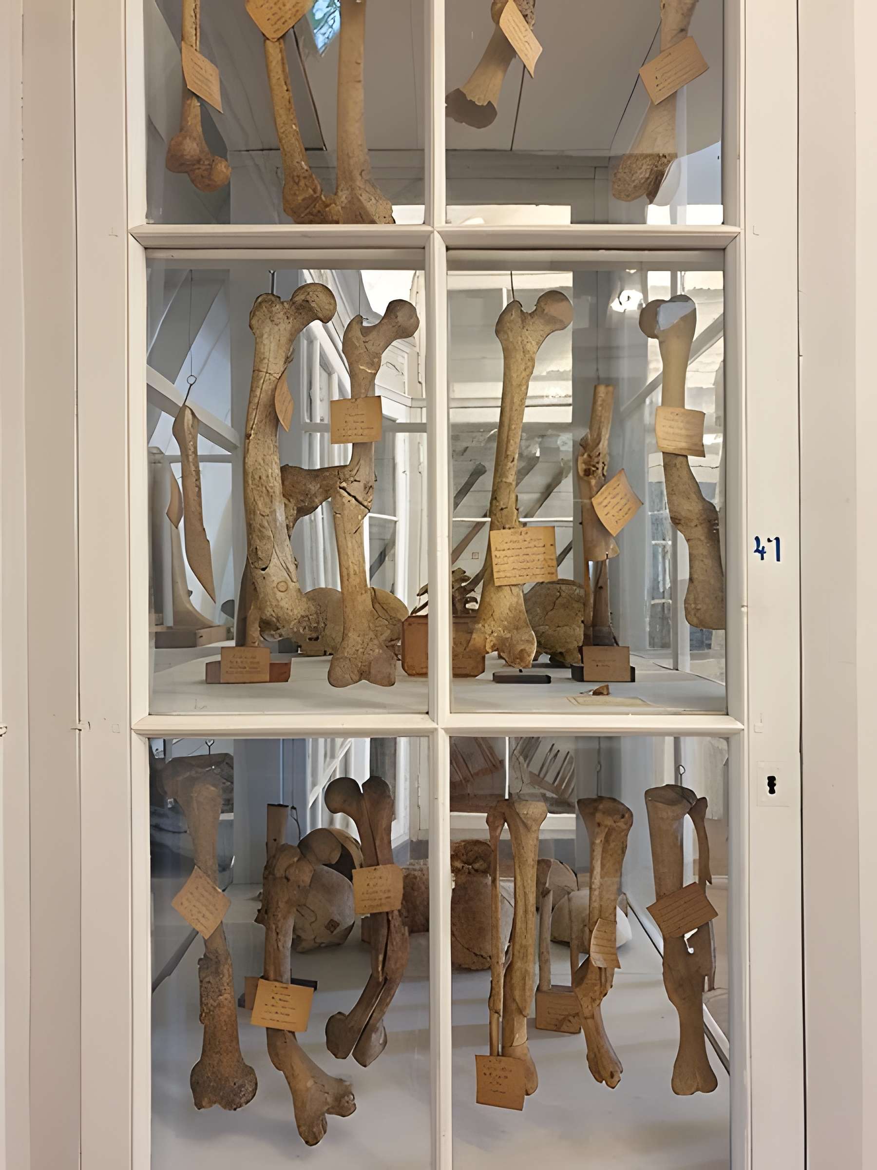 Musée national de la Marine de Rochefort