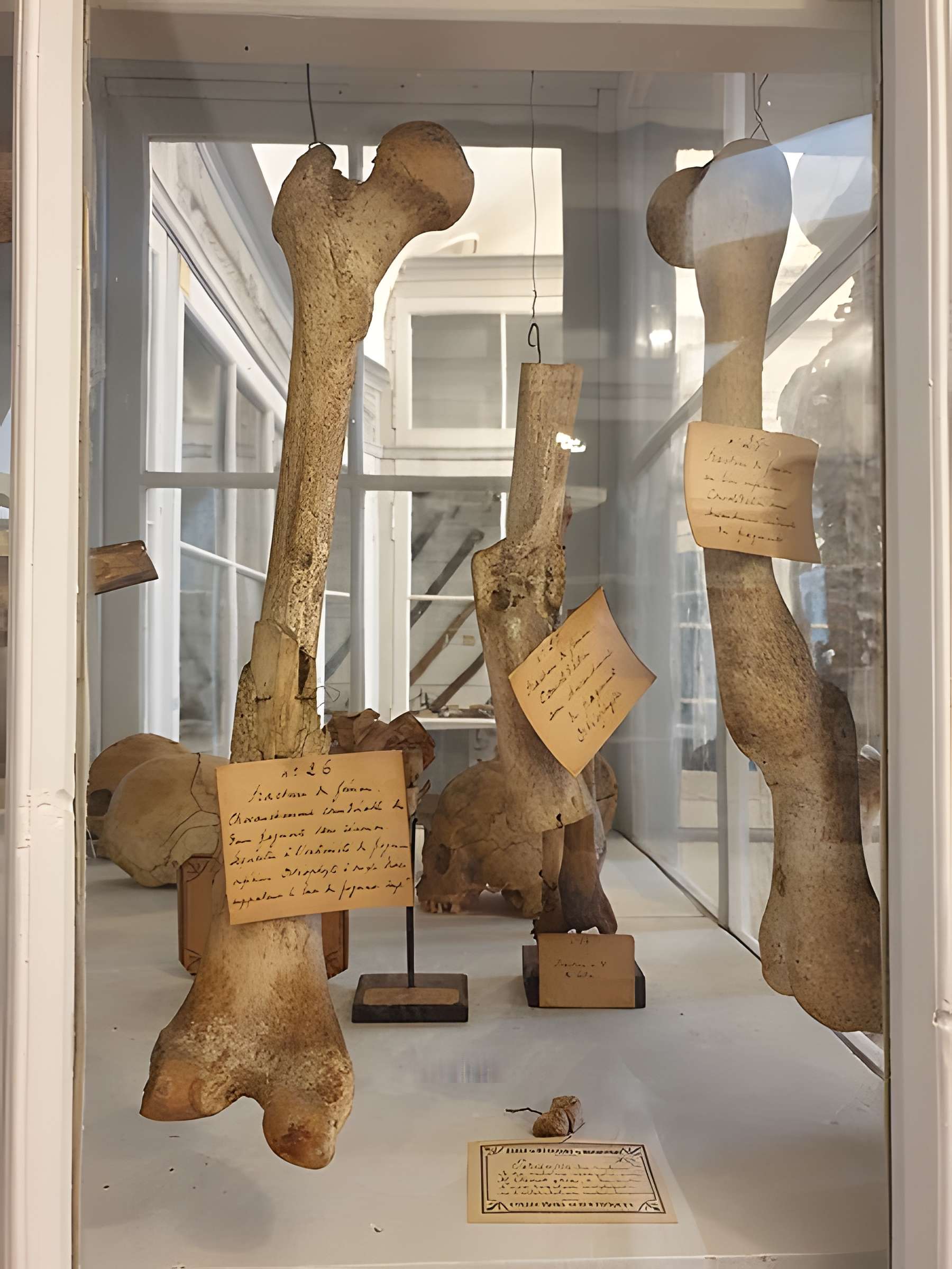 Musée national de la Marine de Rochefort