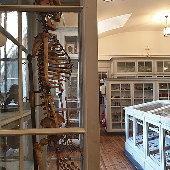 Photo de Musée national de lAncienne École de médecine navale de Rochefort