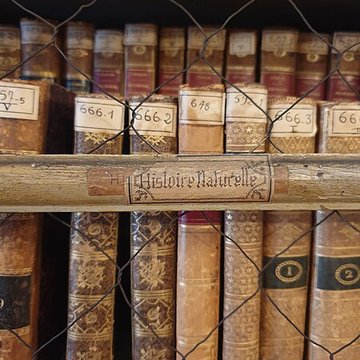 Musée national de lAncienne École de médecine navale de Rochefort