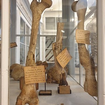 Musée national de lAncienne École de médecine navale de Rochefort