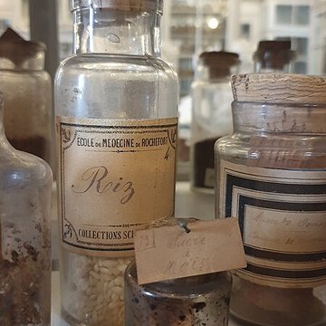 Musée national de lAncienne École de médecine navale de Rochefort