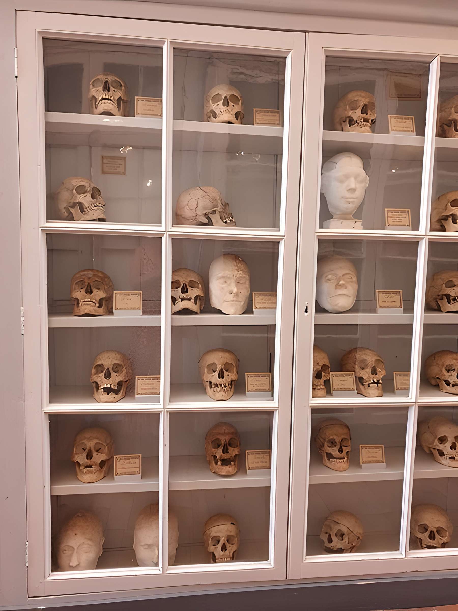 Musée national de l'Ancienne École de médecine navale de Rochefort