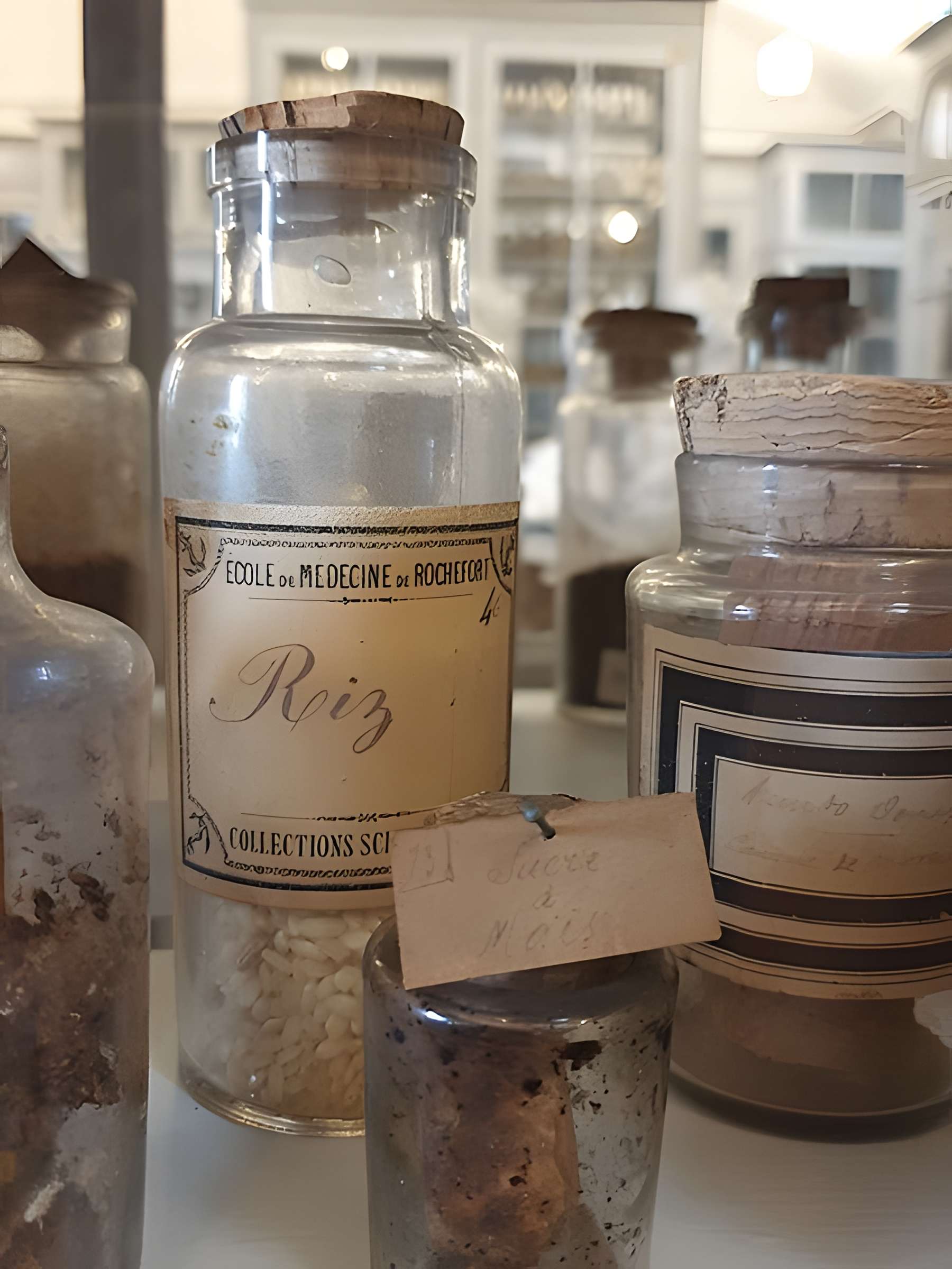 Musée national de l'Ancienne École de médecine navale de Rochefort