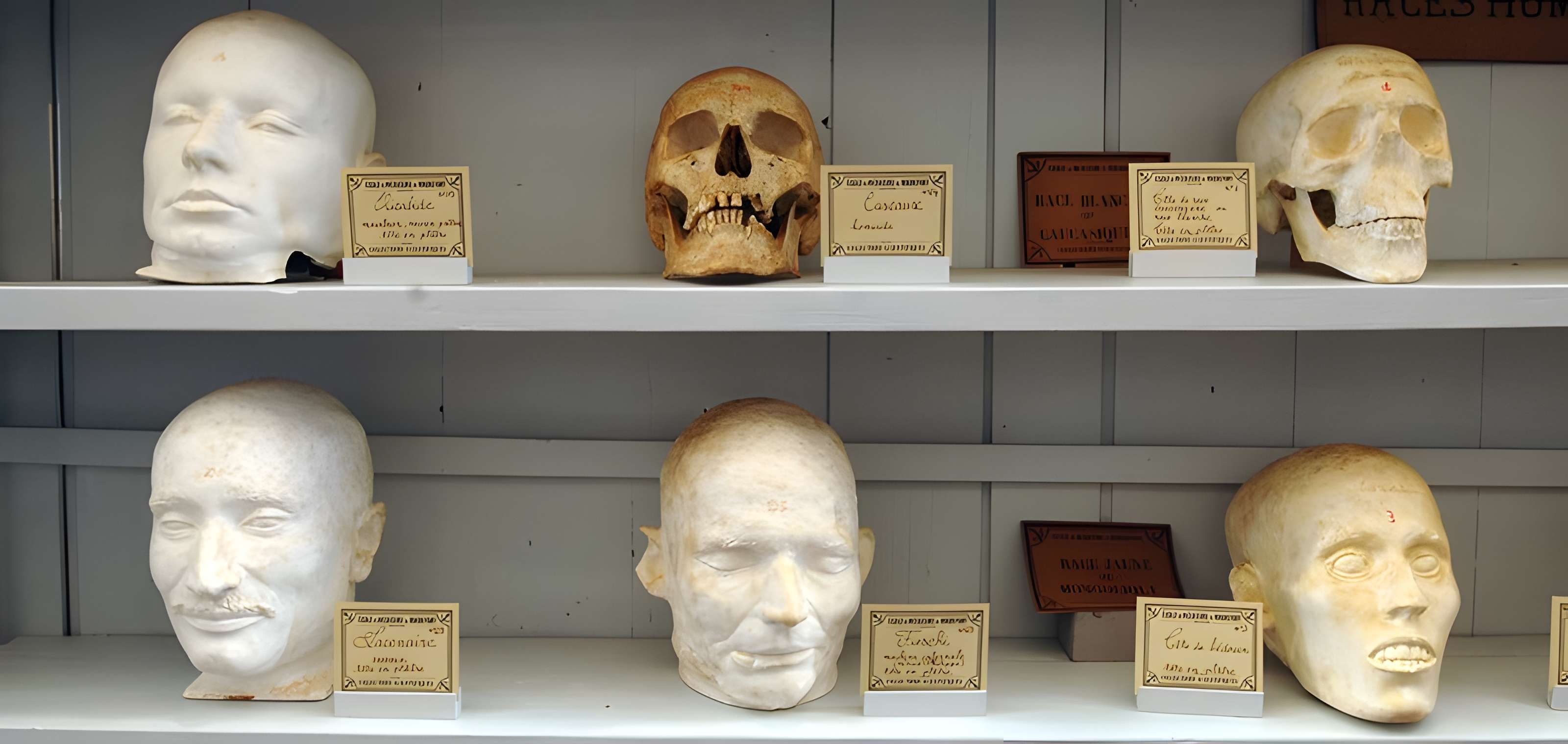 Musée national de l'Ancienne École de médecine navale de Rochefort 