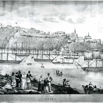 Musée du Nouveau Monde de La Rochelle