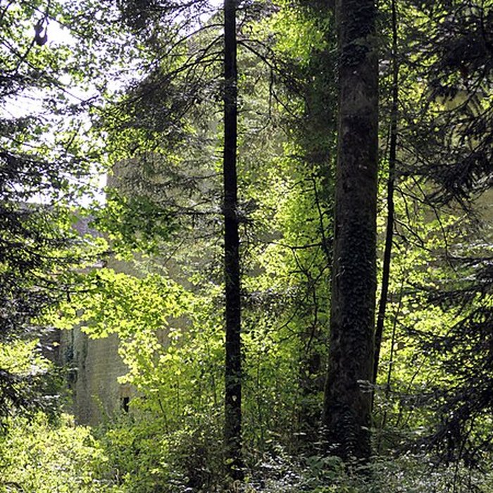 Photo de Château de Sorans-lès-Breurey