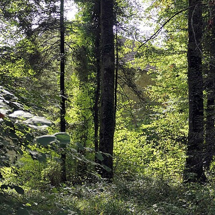 Photo de Château de Sorans-lès-Breurey