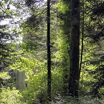 Château de Sorans-lès-Breurey