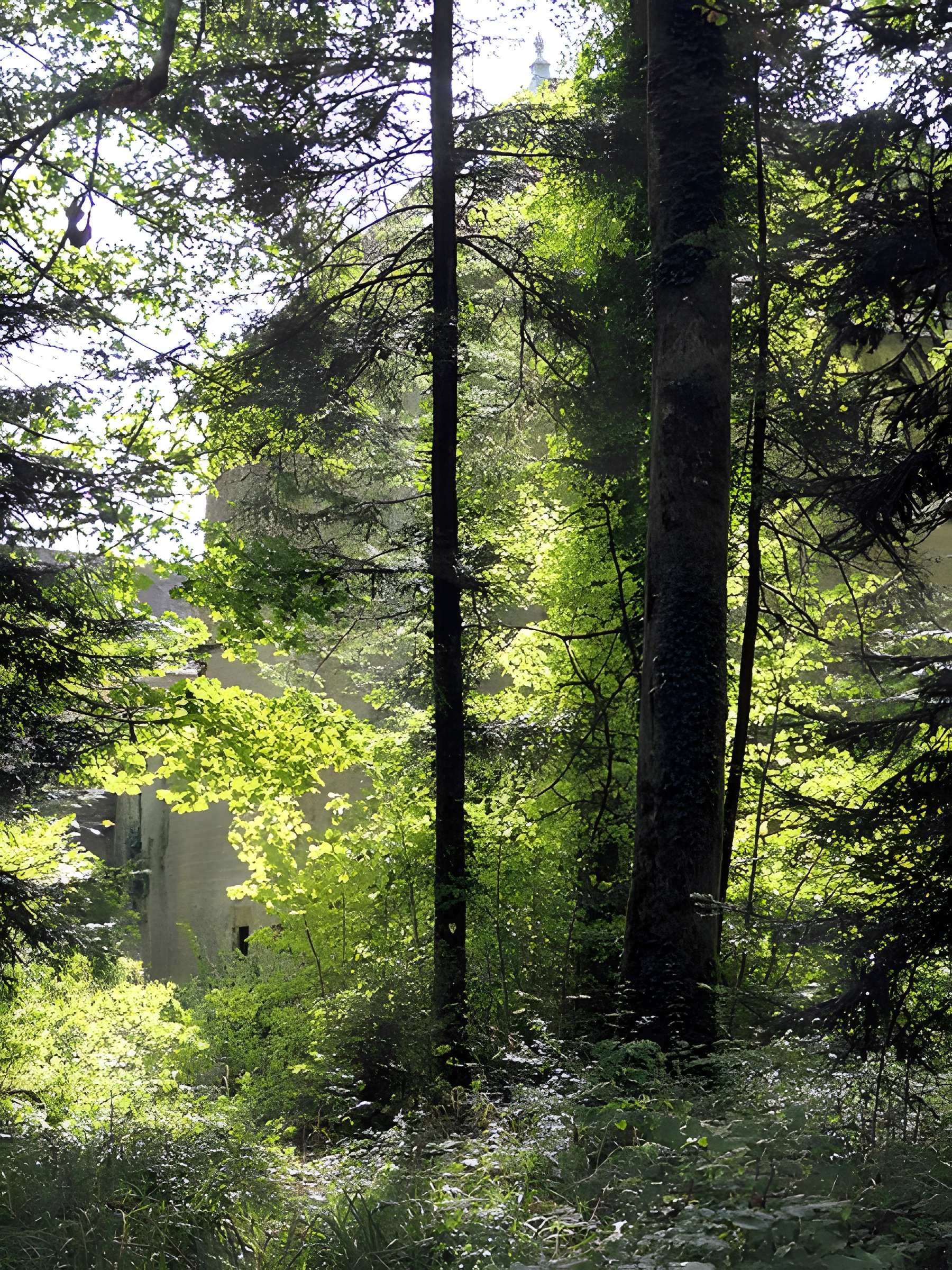 Château de Sorans-lès-Breurey