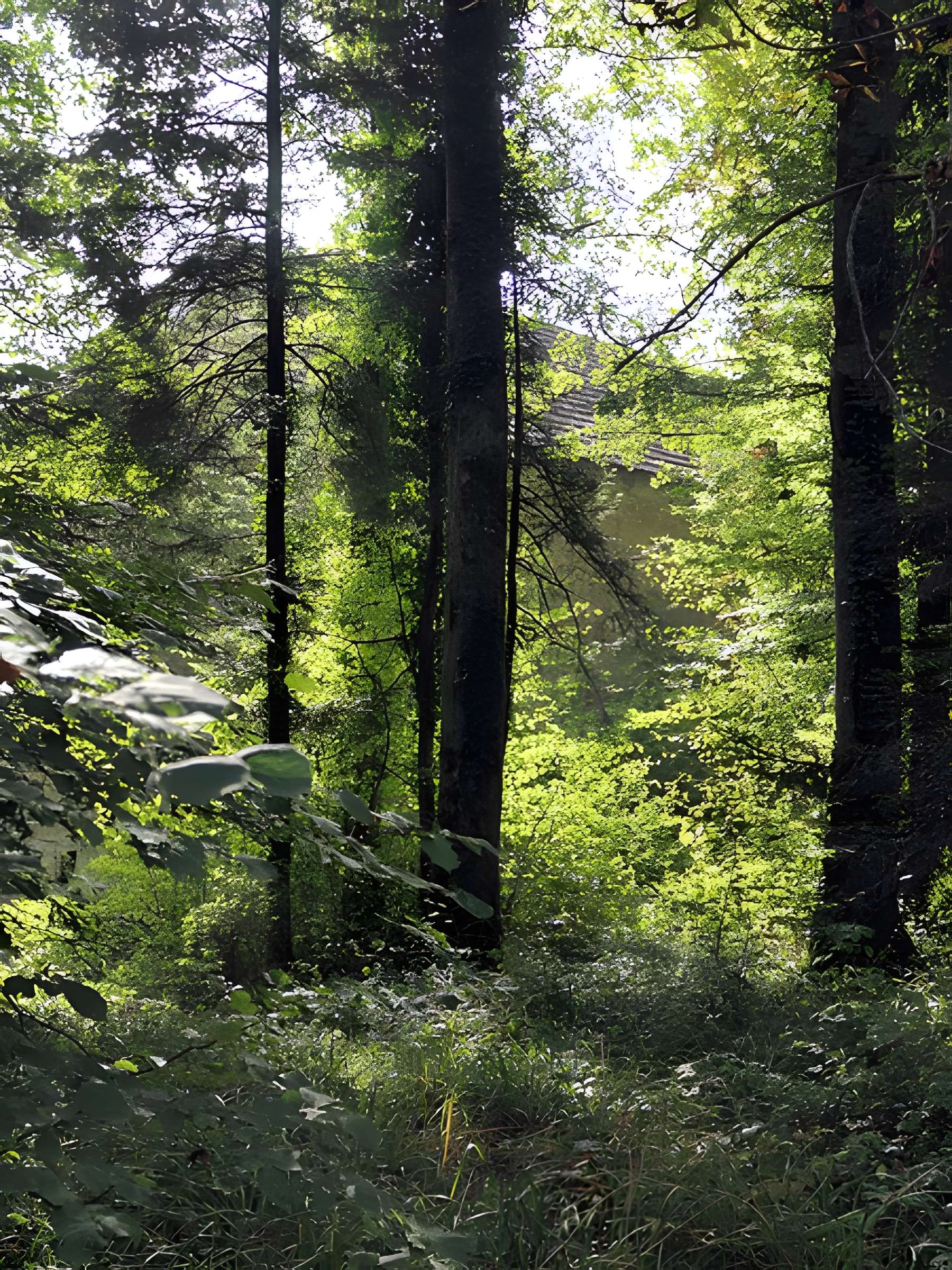Château de Sorans-lès-Breurey