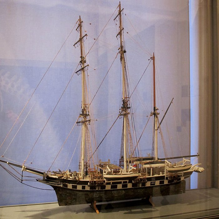 Photo de Muséum dhistoire naturelle de La Rochelle