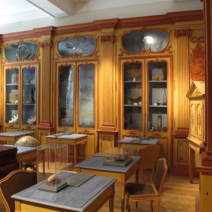 Photo de Muséum dhistoire naturelle de La Rochelle
