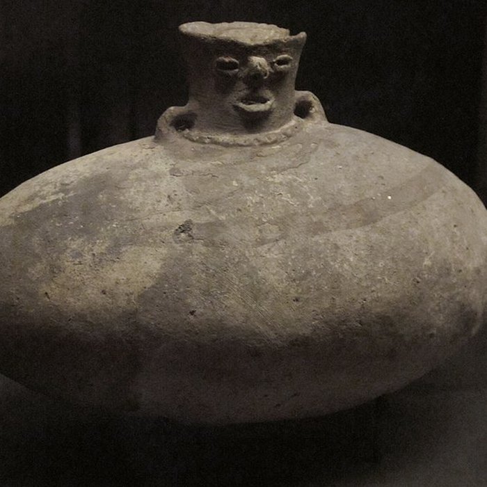 Photo de Muséum dhistoire naturelle de La Rochelle