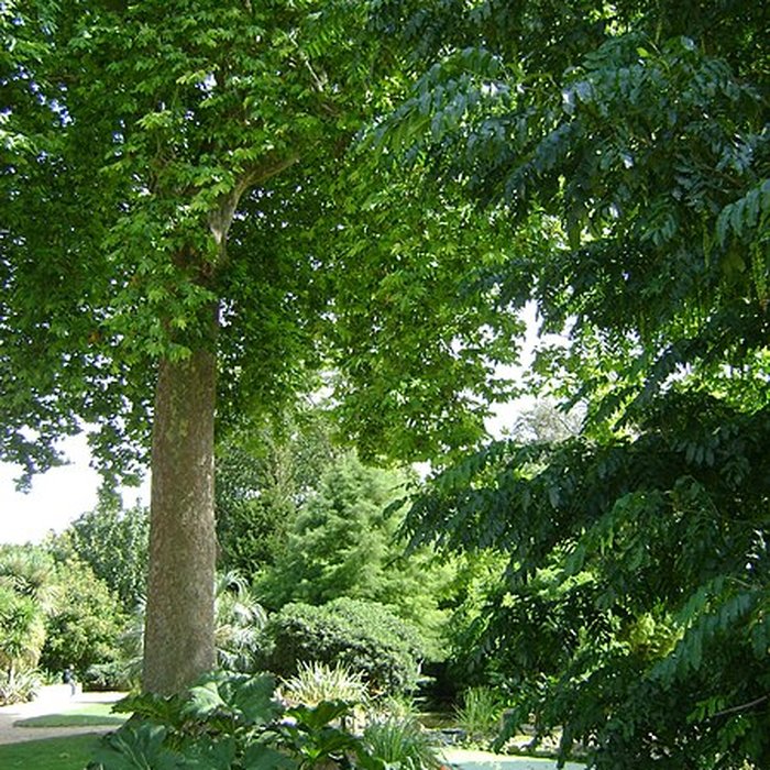 Photo de Muséum dhistoire naturelle de La Rochelle