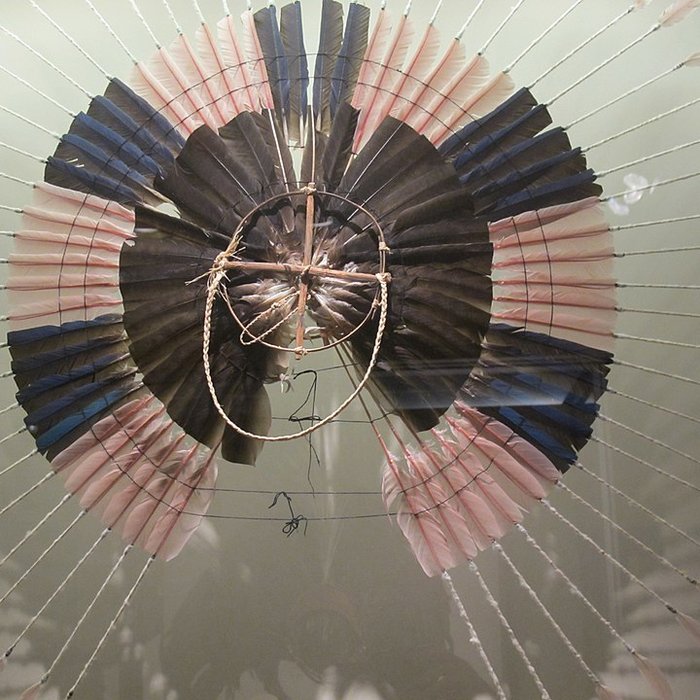 Photo de Muséum dhistoire naturelle de La Rochelle