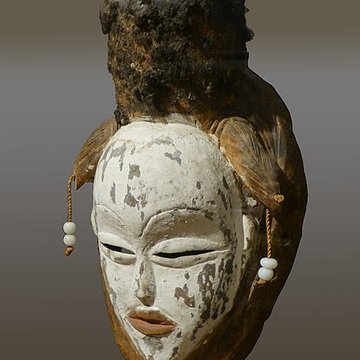 Muséum dhistoire naturelle de La Rochelle
